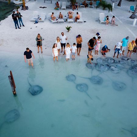 Hidden Treasure Vacation Home Blue Bay Cottage Caye Caulker Eksteriør bilde