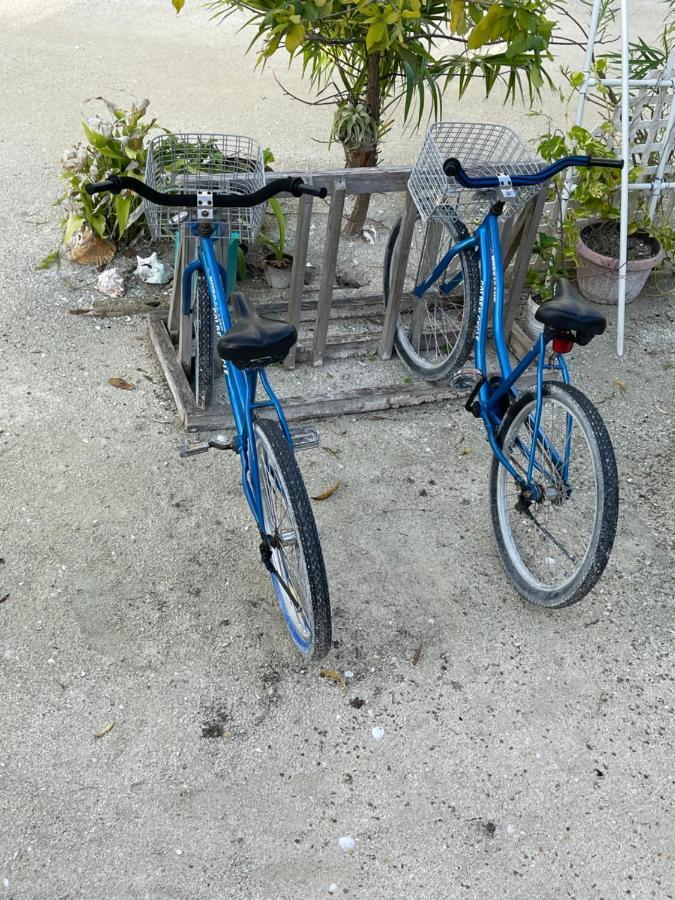 Hidden Treasure Vacation Home Blue Bay Cottage Caye Caulker Eksteriør bilde