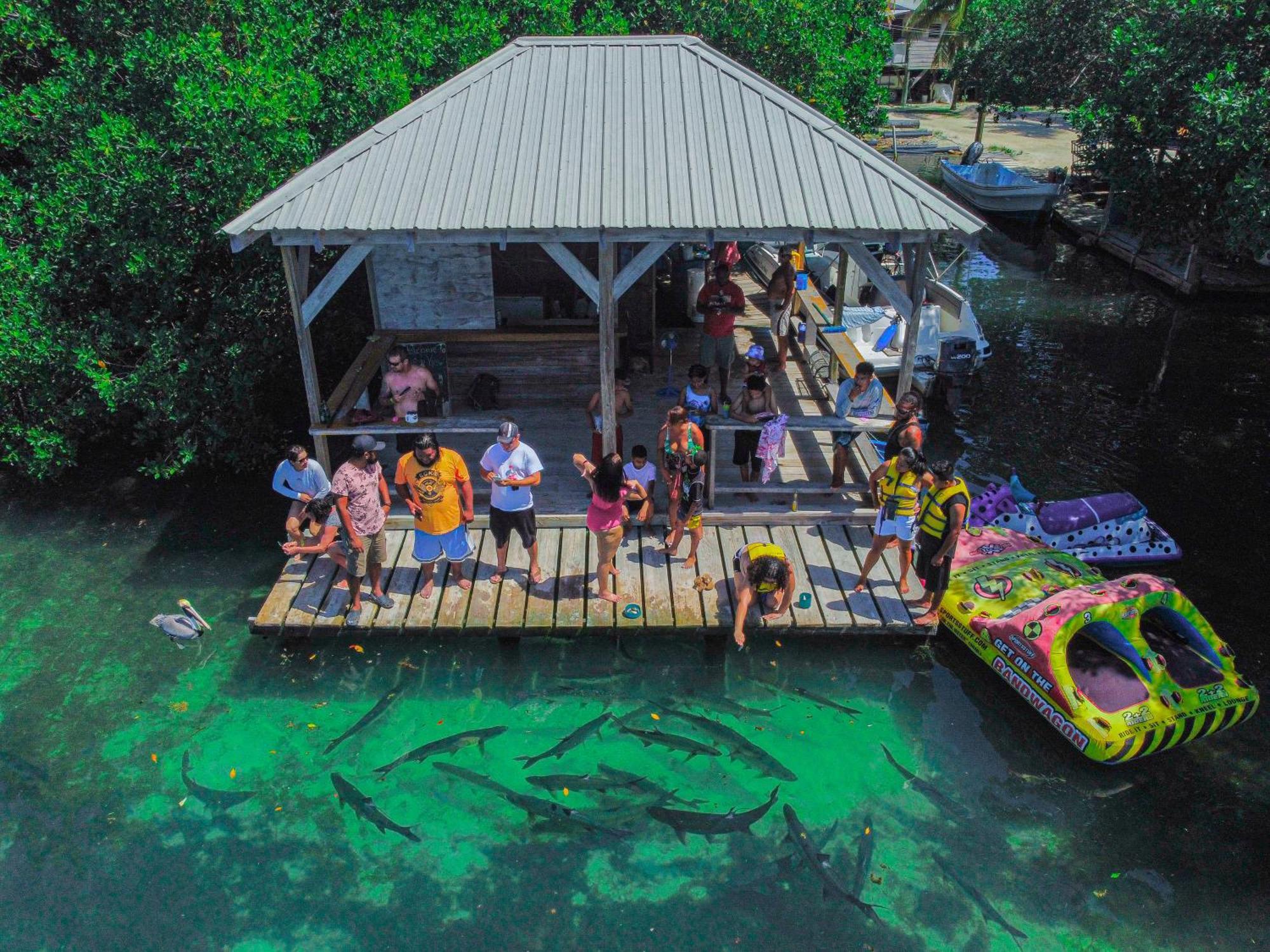 Hidden Treasure Vacation Home Blue Bay Cottage Caye Caulker Eksteriør bilde